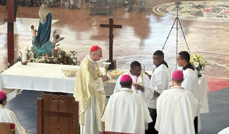Visita do Cardeal Parolin a Cabo Delgado forte sinal de proximidade do Papa Leão – Vatican News